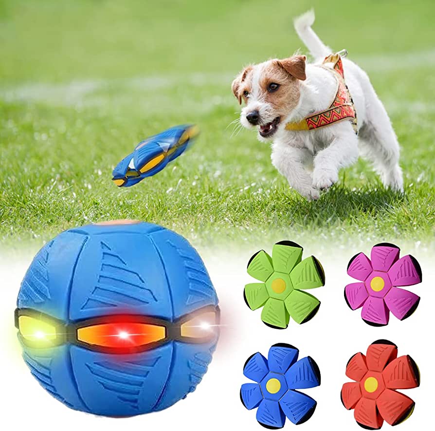 PET PARADISE Dog Frisbee